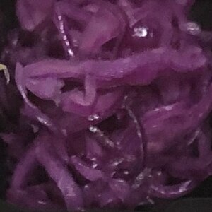 無限　紫キャベツ